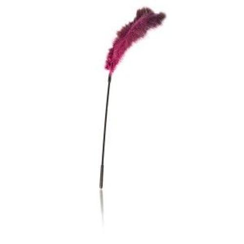 Plumeau Pour Massage The Camels Spirit Fuchsia