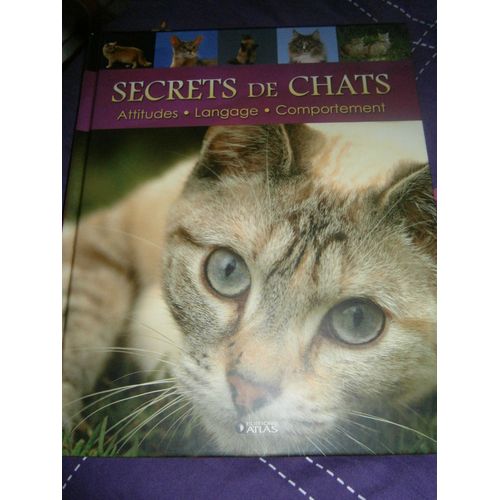 Secrets De Chats