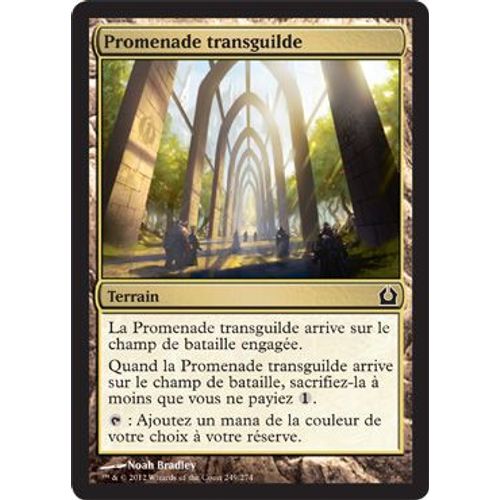 Promenade Transguilde - Retour Sur Ravnica - Magic Mtg - C - 249