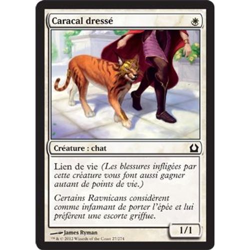 Caracal Dressé - Retour Sur Ravnica - Magic Mtg - C - 27
