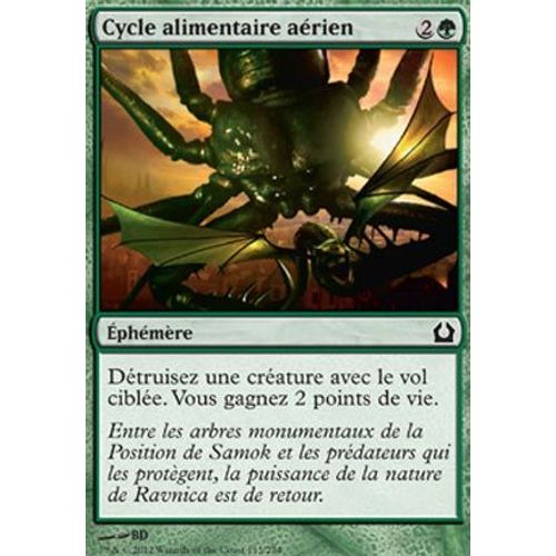 Cycle Alimentaire Aérien - Retour Sur Ravnica - Magic Mtg - C - 113