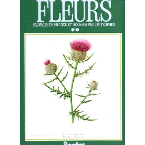 Fleurs Sauvages De France Et Des Régions Limitrophes