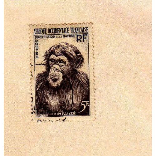 Timbre Afrique Occidentale Française Protection De La Nature, Chimpanzé 1955