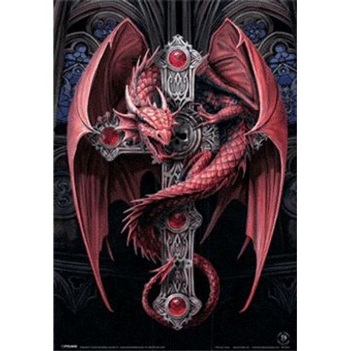 Anne Stokes Poster Pvc Effet 3d Gothic Dragon 47 X 67 Cm