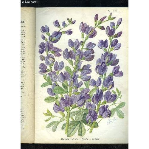 La Revue Horticole 1932 N° 8 - H. Martinet, J,F.Lesourd. \ Chronique Horticole.J. Delafon. ¿ A Quoi Sert La Publicité.G.Bellair. ¿ Faits Et Commentaires :Nouvelles Vitamines.V.-A. Evreinoff. ...