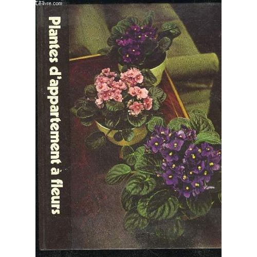 Plantes D'appartement A Feuillage