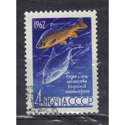 Russie 1962 : Poisson : Brême - Timbre Oblitéré