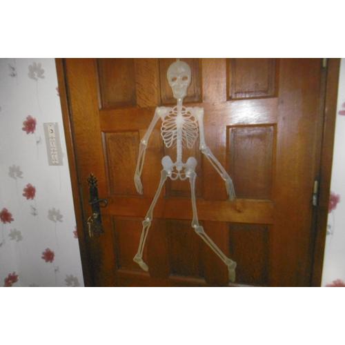 squelette articulé plastique blanc transparent à suspendre  90cm