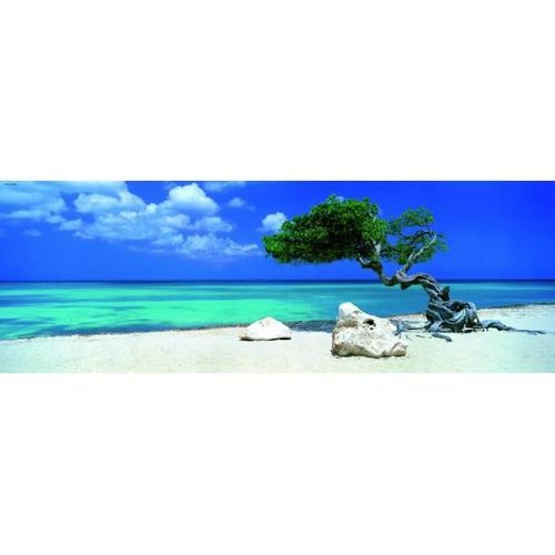 Puzzle 1000 Pièces Panoramique - Alexander Von Humboldt : Arbre De Divi Divi