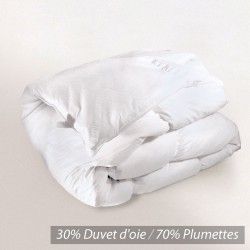 Couette 140x200 Cm Hiver Picardie Garnissage Naturel Duvet De Canard 500 G/M2