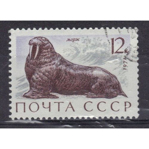 Russie 1971 : Faune Marine : Morse - Timbre Oblitéré