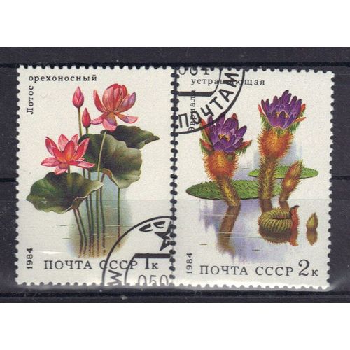 Russie 1984 : Flore : Plantes Aquatiques - Série De 2 Timbres Oblitérés
