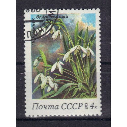 Russie 1983 : Flore : Fleurs D'u.R.S.S. : Perce-Neige - Timbre Oblitéré