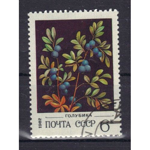 Russie 1982 :  Flore : Baies Sauvages : Airelle Des Marais - Timbre Oblitéré