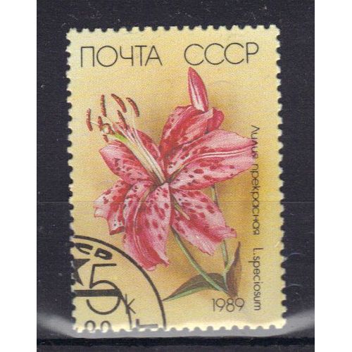 Russie 1989 : Flore : Lys D'u.R.S.S. : L. Speciosum - Timbre Oblitéré