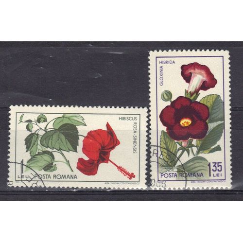 Roumanie 1965 : Fleurs De Jardin Botanique De Cluj : Hibiscus Rouge / Gloxinia Hybride - Série De 2 Timbres Oblitérés