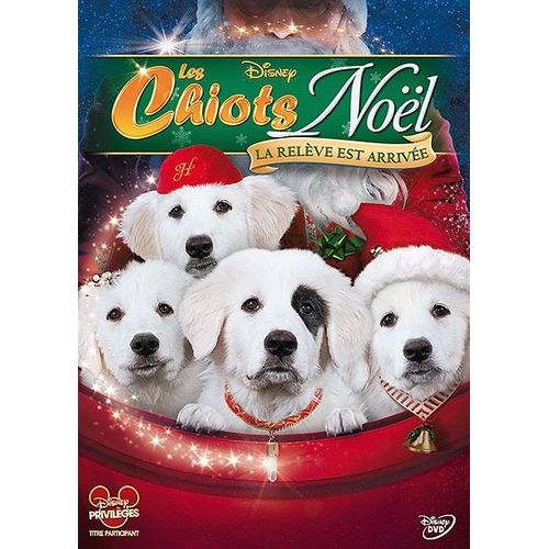 Les Chiots Noël, La Relève Est Arrivée