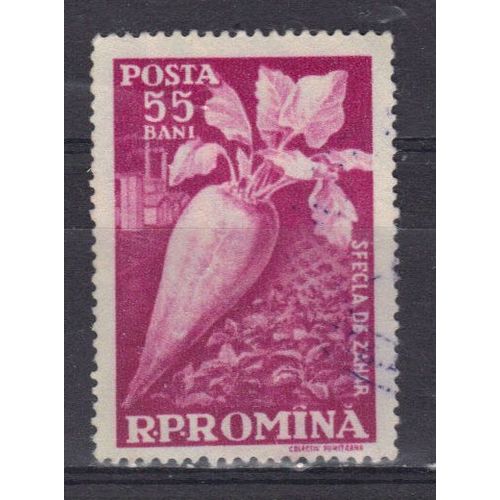 Roumanie 1963 : Culture Des Primeurs : Radis Rose - Timbre Oblitéré