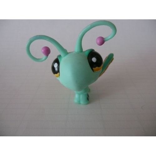 Petshop 1136 Papillon