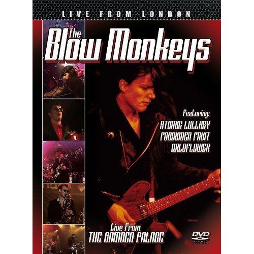 The Blow Monkeys : Live From London