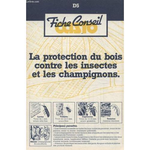 Fiche Conseil Casto : La Protection Du Bois Contre Les Insectes Et Les Champignons