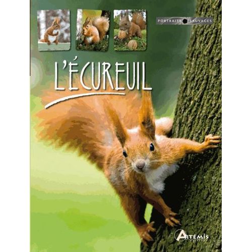 L'écureuil