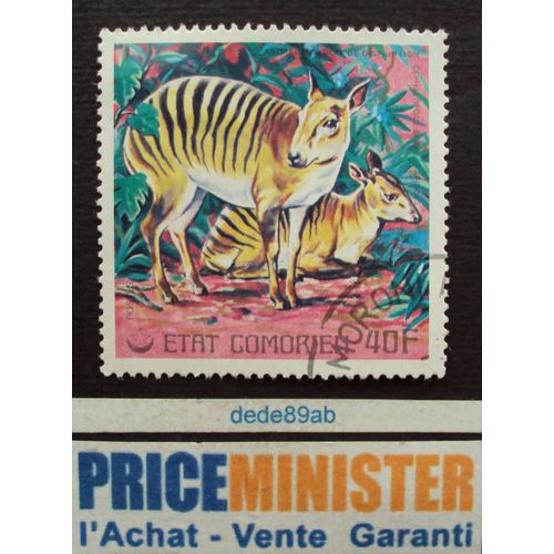 Comores..Etat Comorien.Série Animaux En Voie De Disparition(1977) : Céphalopode Zèbre (Afrique) Oblitéré.