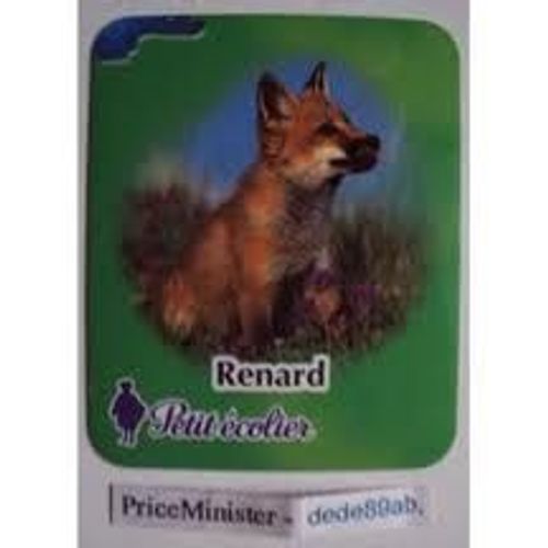 Magnet Petit Ecolier - Renard