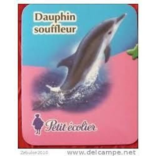 Magnet Petit Ecolier - Dauphin Souffleur