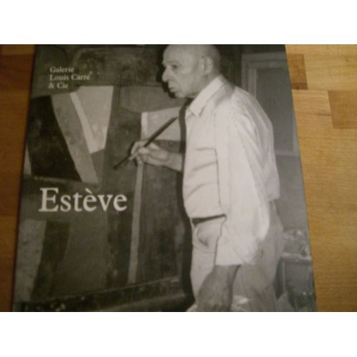 Esteve, Peintures Recentes
