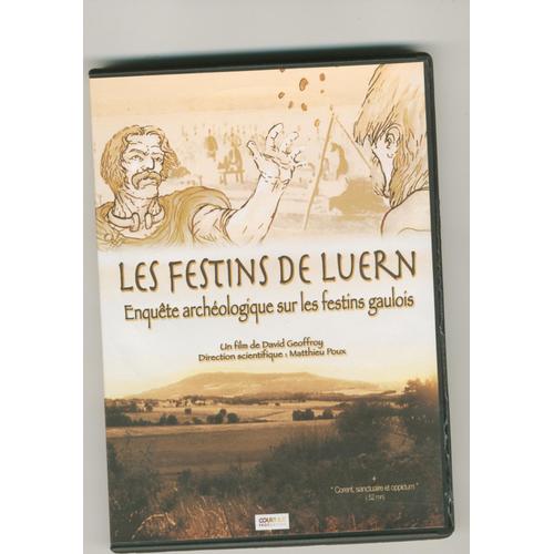 Les Festins De Luern Enquete Archeologique Sur Les Festins Gaulois En Collaboration Avec Le Parc Archeologique De Beynac