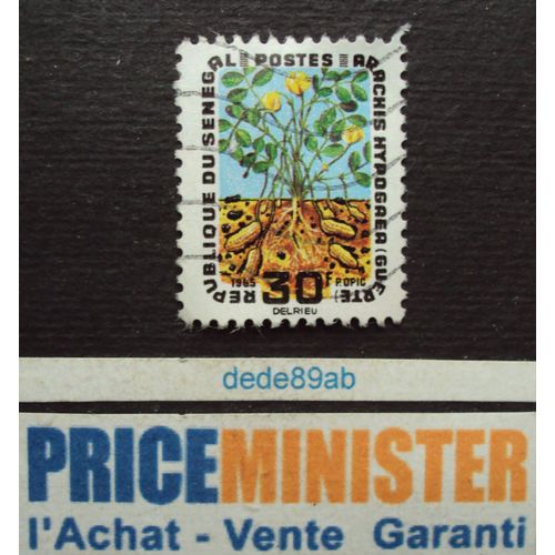 Sénégal.. 30f République Du Sénégal. Agriculture : Archis Hypogaea (Guetre) Oblitéré.