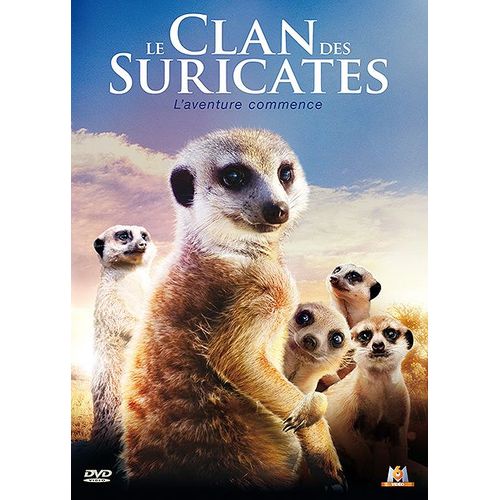 Le Clan Des Suricates : L'aventure Commence