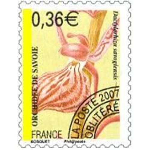 Orchidée De Savoie