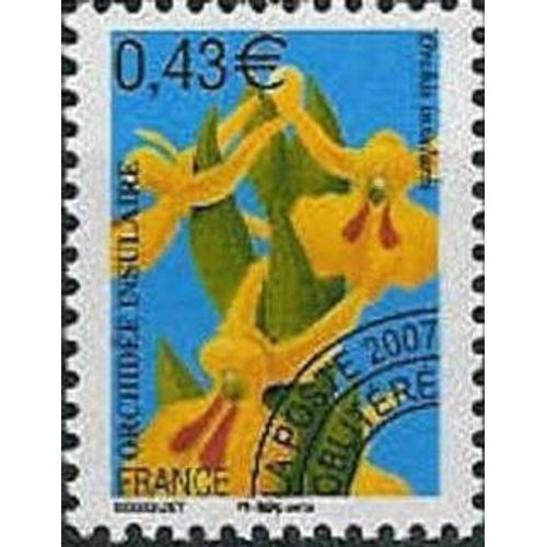 Orchidée Insulaire