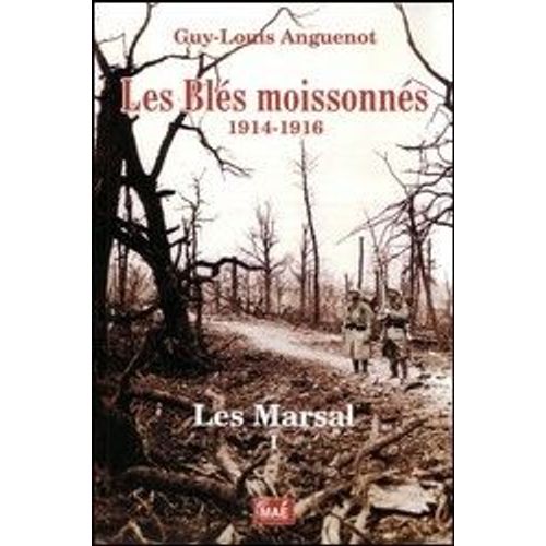 Les Blés Moissonnés 1914-1916