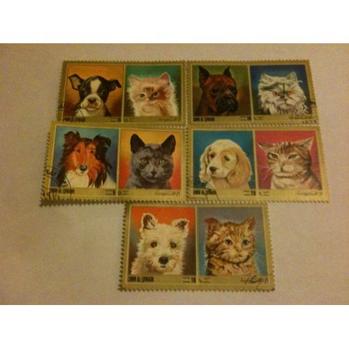 Lot De 5 Timbres Chiens Chats Umm-Al-Qiwain