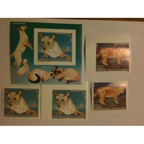 Timbres Et Feuillets Chats Guinée Équatoriale