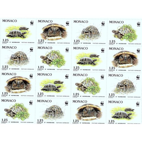 Espèces Protégées - La Tortue D'hermann
