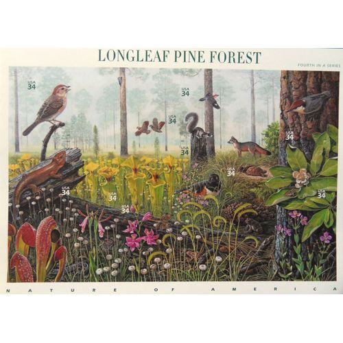 Bloc De Timbres Nature Of America 4