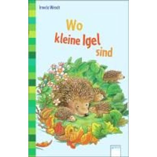 Wo Kleine Igel Sind
