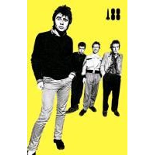I Was A Teenage Sex Pistol
