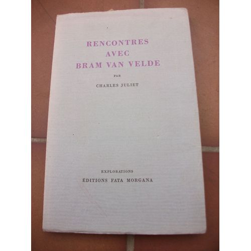 rencontre avec bram van velde