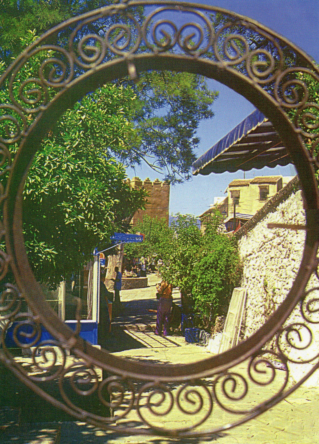 Carte Postale - Maroc-  Chaouen Le Rendez Vous Des Artistes