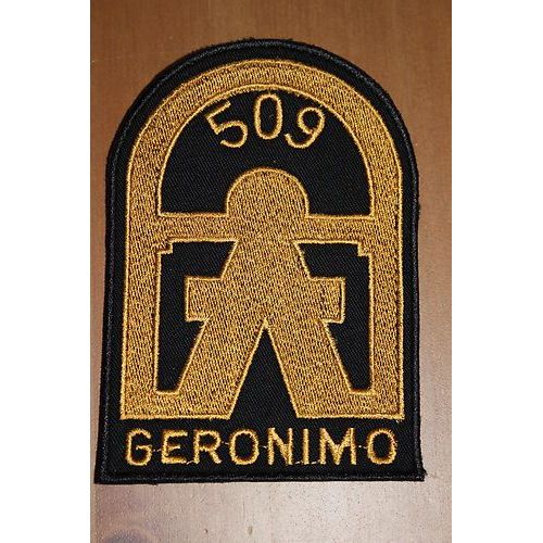 Insigne Tissu De Poitrine De La 509 Eme Pir  Regiment De Parachutiste De La 101 Eme Airborne Division  Bataille De Normandie Ww2
