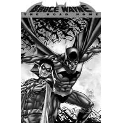 Bruce Wayne: The Road Home