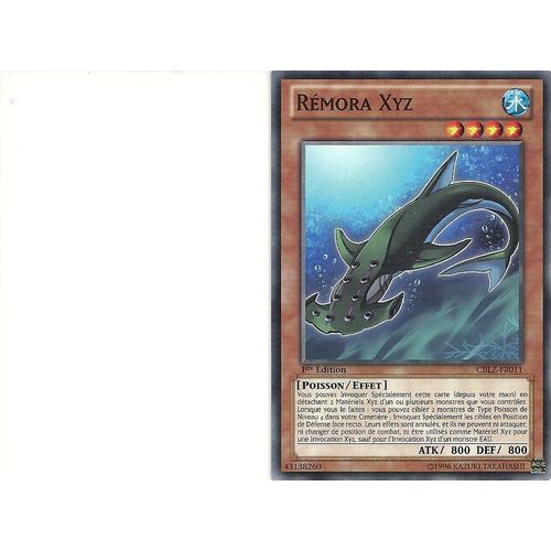 Rémora Xyz Cblz Fr011