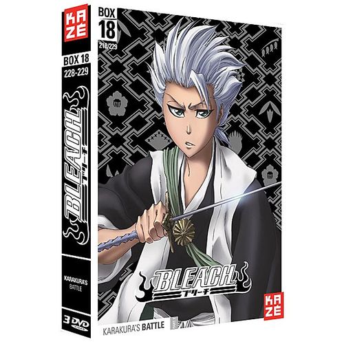 Bleach - Saison 4 : Box 18 : Karakura's Battle, Part 2