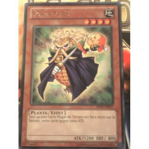 Papa-Maïs Rare Abyr-Fr097