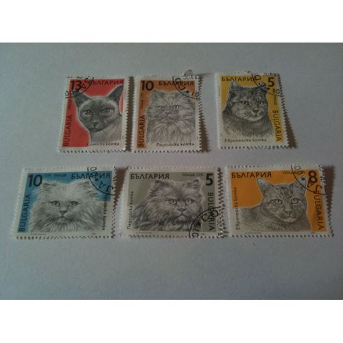 Lot De 6 Timbres Chats Bulgarie 1989